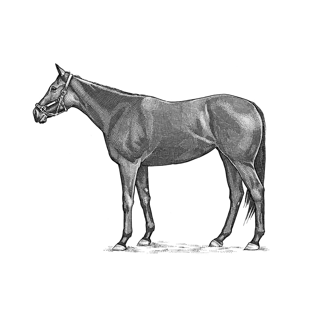 Pinhook Bourbon product image