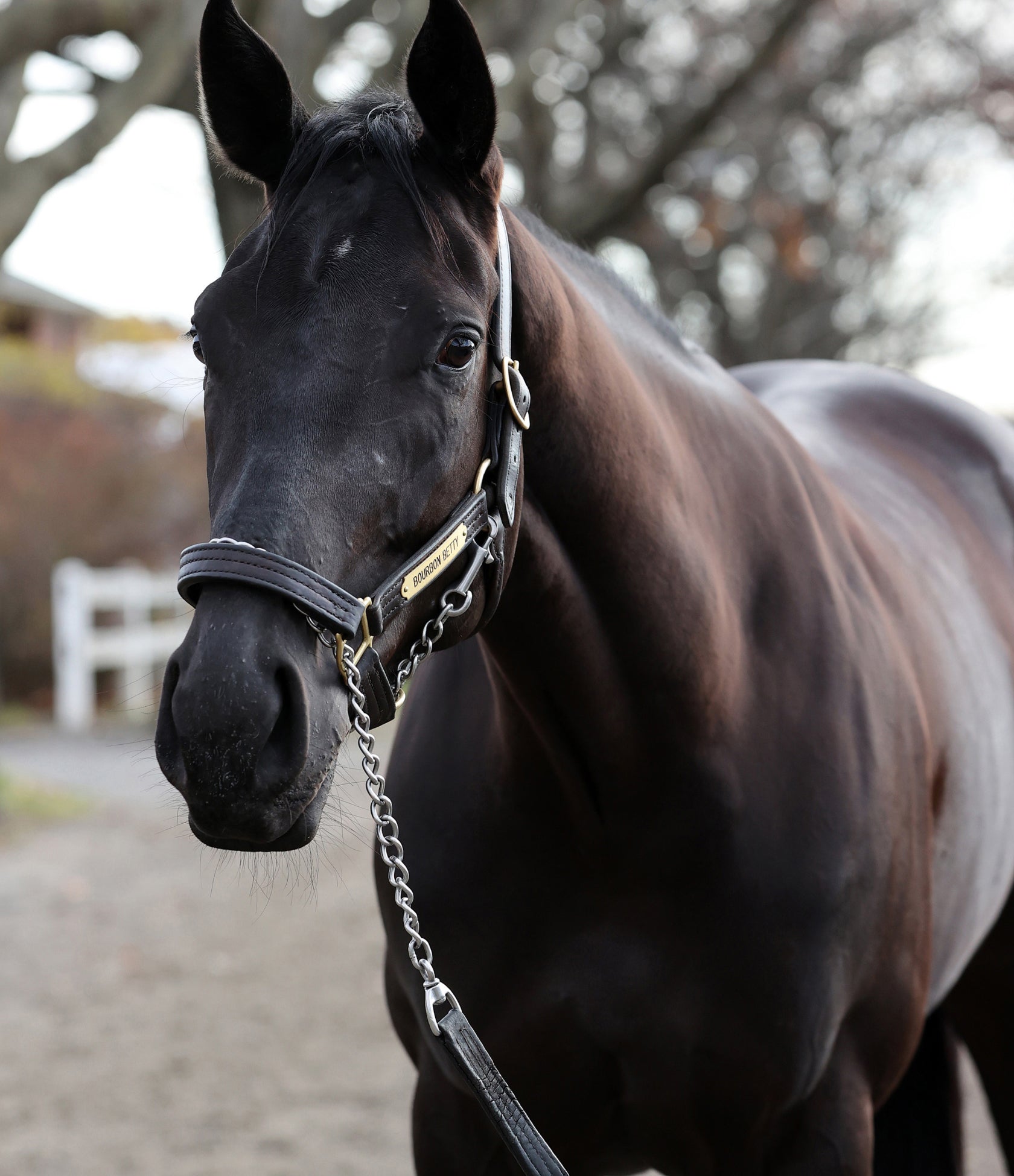Pinhook Bourbon product image