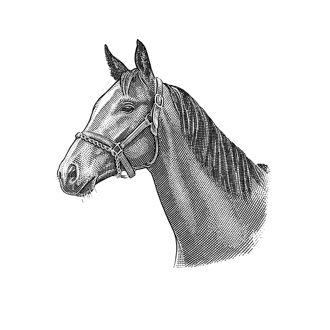 Pinhook Bourbon product image